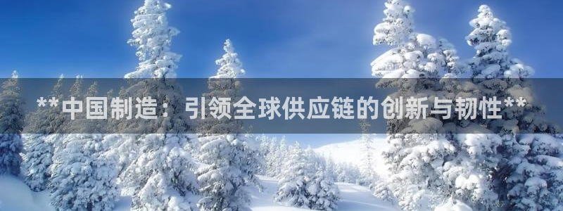 彩神8app官方下载：**中国制造：引领全球供应链的创新与韧性**