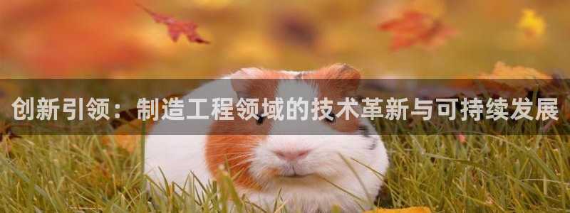 彩神ix能赚钱吗：创新引领：制造工程领域的技术革新与可持续发展