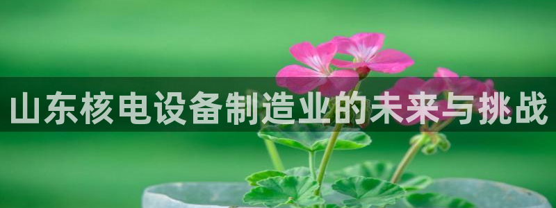 彩神vii官网：山东核电设备制造业的未来与挑战