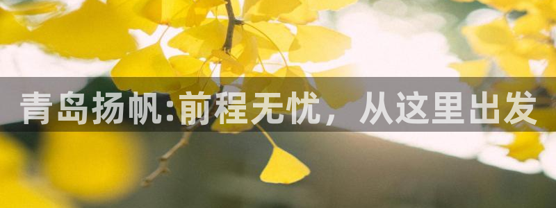 彩神购彩-购彩大厅入口500：青岛扬帆:前程无忧，从这里出发