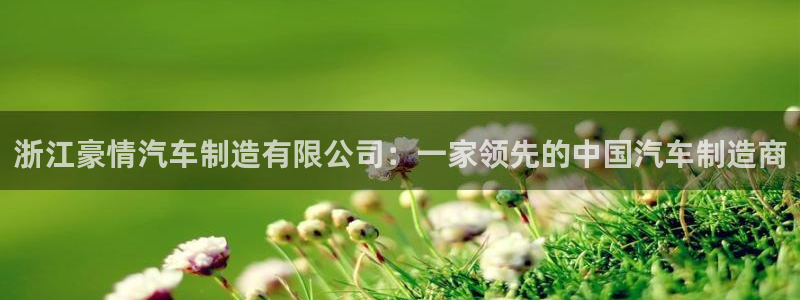 彩神大发三期计划网站：浙江豪情汽车制造有限公司：一家领先的中