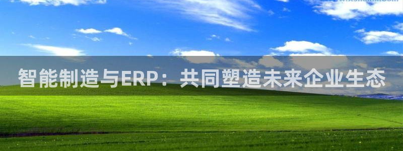 彩神ll能赚钱吗：智能制造与ERP：共同塑造未来企业生态