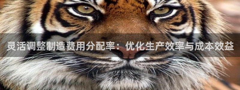 彩神ⅴll用户登录：灵活调整制造费用分配率：优化生产效率与成本效益