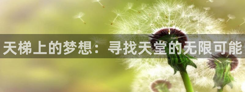 彩神8最新版下载：天梯上的梦想：寻找天堂的无限可能