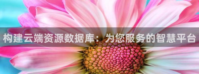 大发彩神官网下载：构建云端资源数据库：为您服务的智慧平台