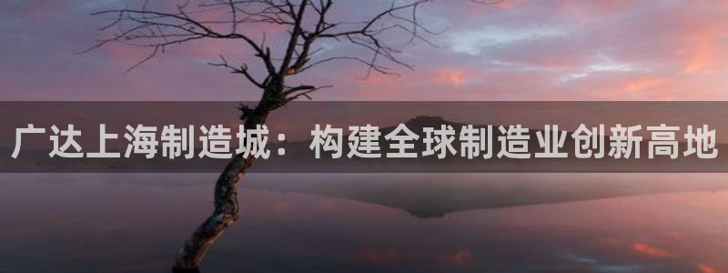 彩神v8是一个什么平台游戏：广达上海制造城：构建全球制造业创新高地