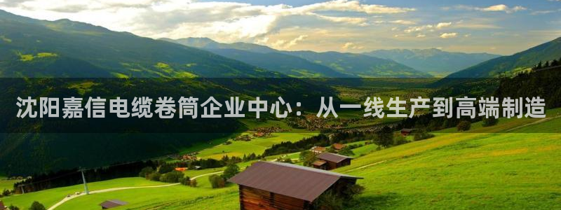 彩神vi争霸官网：沈阳嘉信电缆卷筒企业中心：从一线生产到高端制造