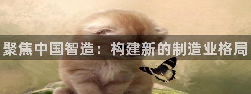 彩神vip购彩大厅在哪：聚焦中国智造：构建新的制造业格局