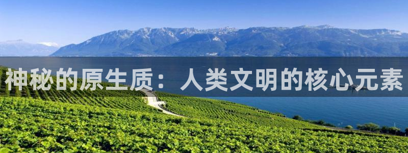 彩神v8下载：神秘的原生质：人类文明的核心元素