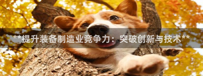 彩神可以提现吗：**提升装备制造业竞争力：突破创新与技术**